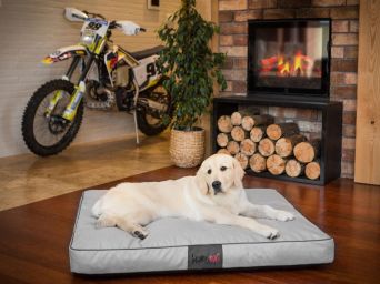 Hundematratze, Hundebett, verschiedene Größen, Asche Farbe Ekolen