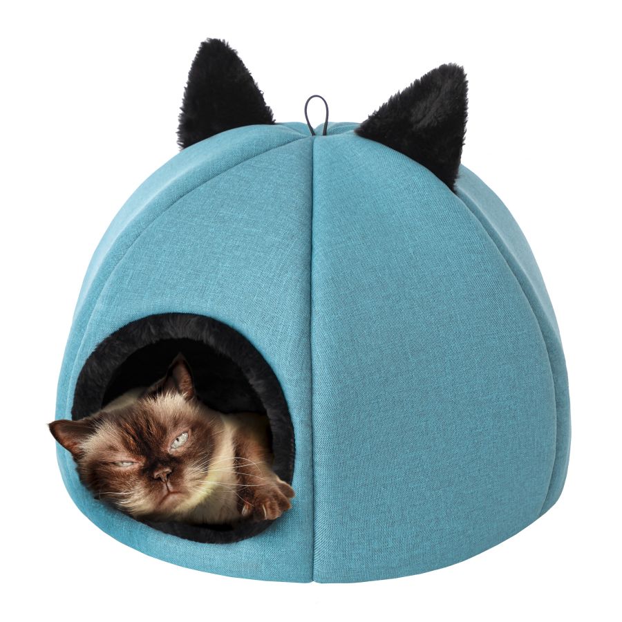 Katzenbett, Katzenbox 